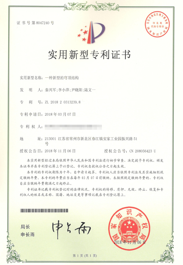 一种新型的穹顶结构